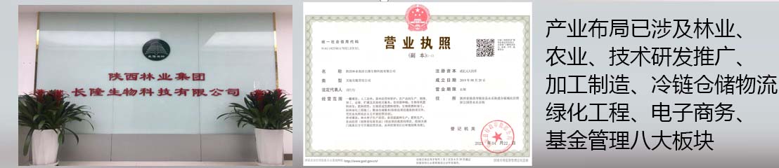 【集团动态】集团召开2024年第3次党委理论学习中心组（扩大）学习聚会  - 米乐m6官网登录入口官网