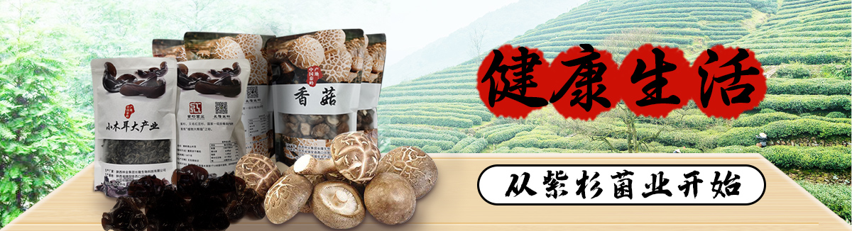 红豆杉食用菌生态工业园 - 米乐m6官网登录入口官网